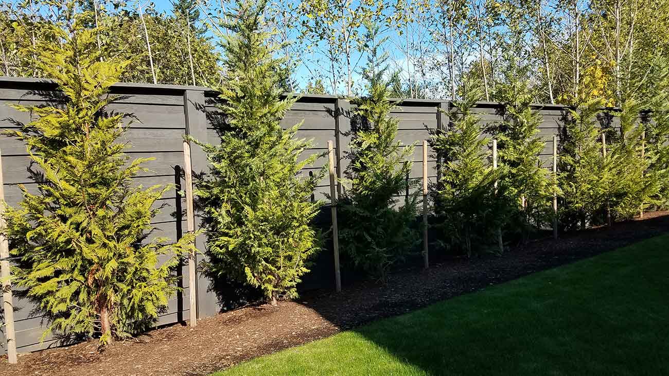 Fence Photo
