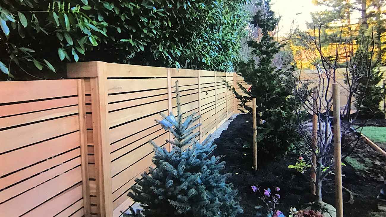 Fence Photo