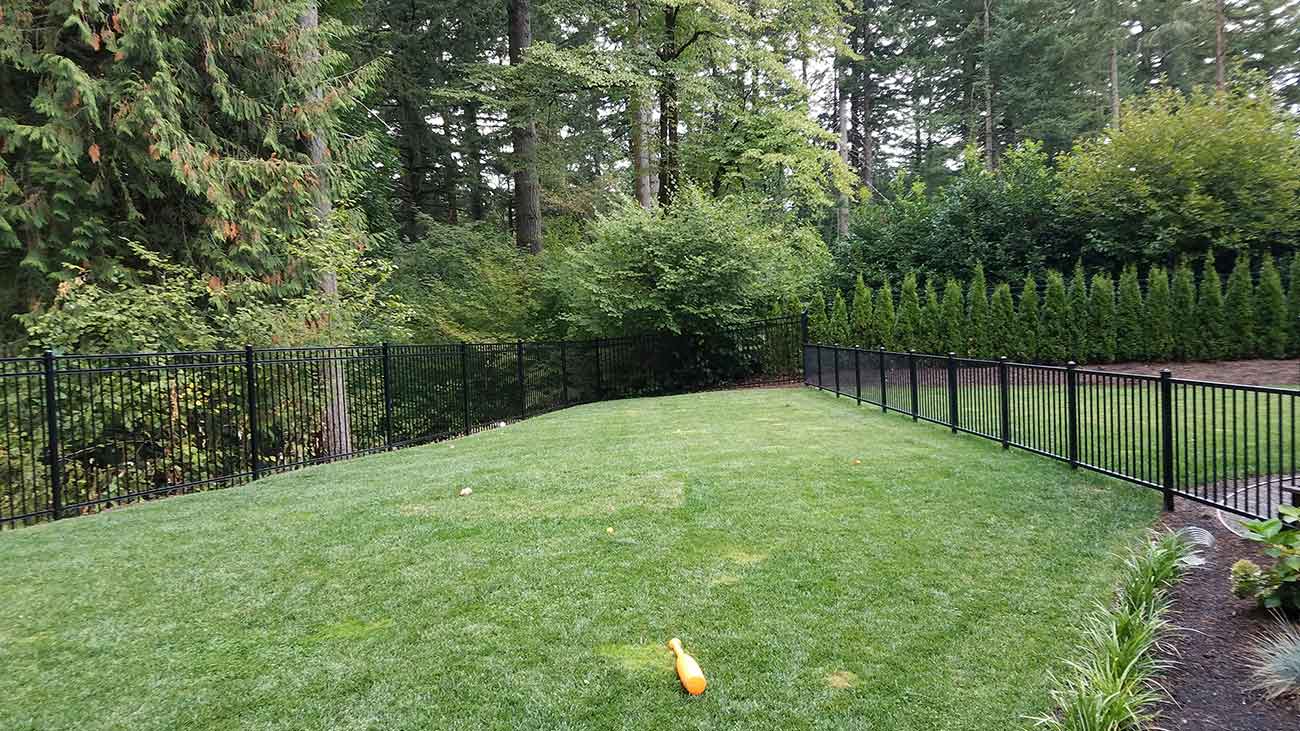 Fence Photo