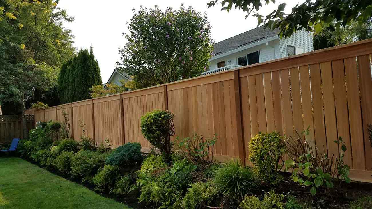 Fence Photo