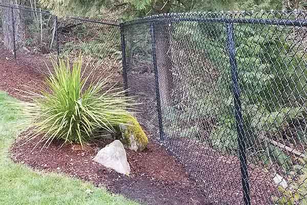Chain Link Fence