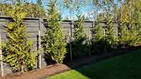 Fence Photo