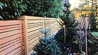 Fence Photo