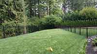 Fence Photo