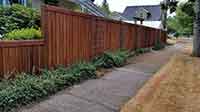 Fence Photo