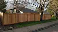 Fence Photo
